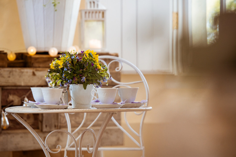 Events and exhibitions in Jelgava and Jelgava County