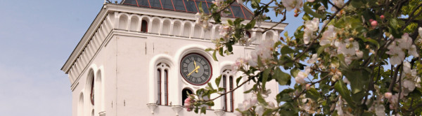 Jelgavos &Scaron;v. Trejybės bažnyčios bok&scaron;tas