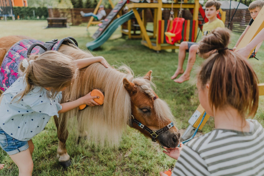 Enjoy Summer with Your Family in Jelgava and the Jelgava Region