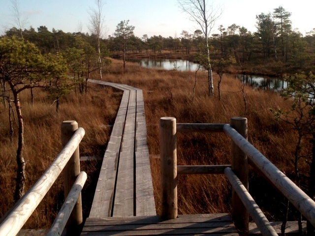 Kemeru nõmm – Kemeru rahvuspark