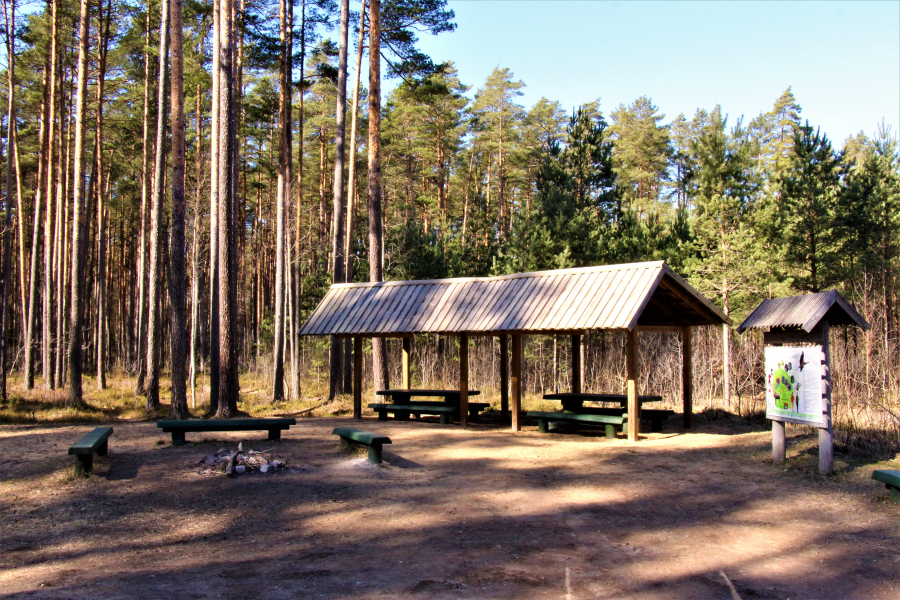 Garie kalni - Būriņu mežs