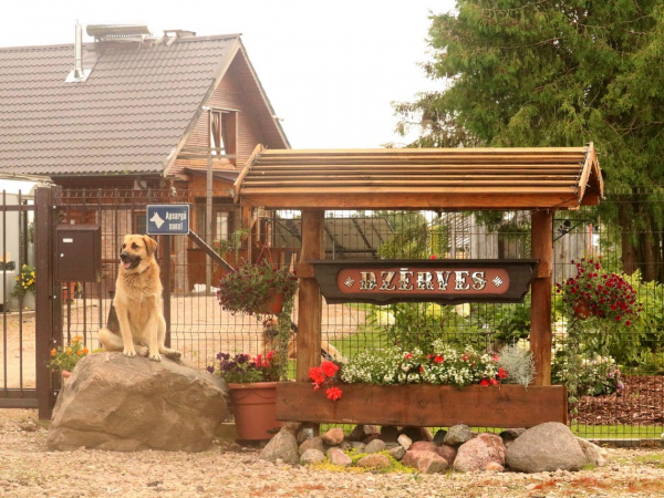 Tomato growing farm Dzērves