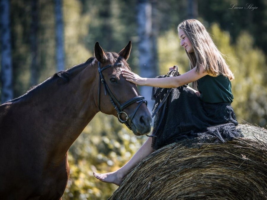 Horse Breeding Farm - Princis 